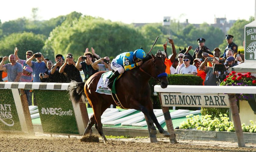 American Pharoah horse