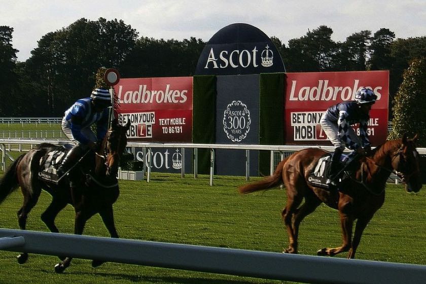 Ascot racing