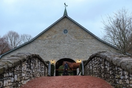 Ashmore Stud entrance