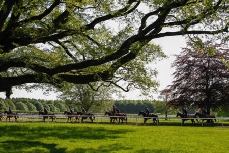 Ballydoyle