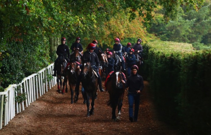 Ballydoyle training facility