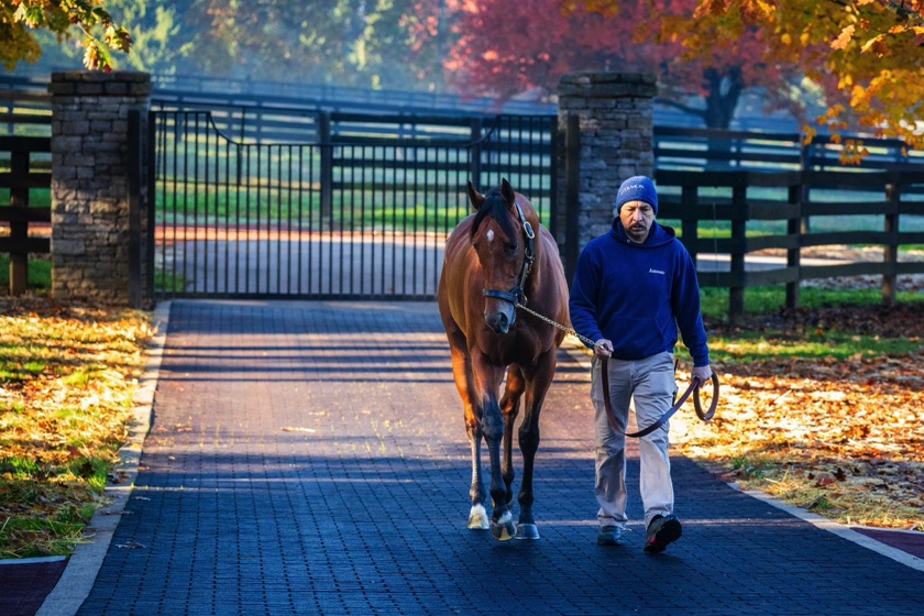 Coolmore America