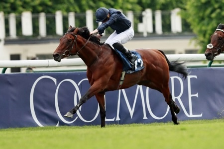 Coolmore Stud horse racing