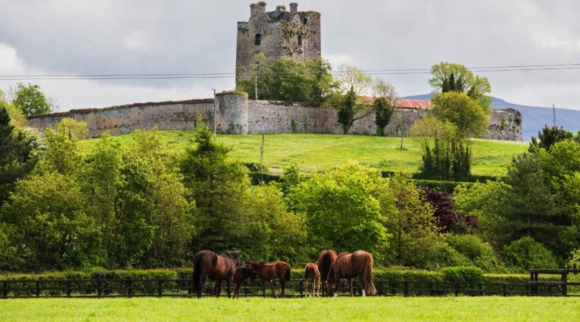 Coolmore Stud ruins