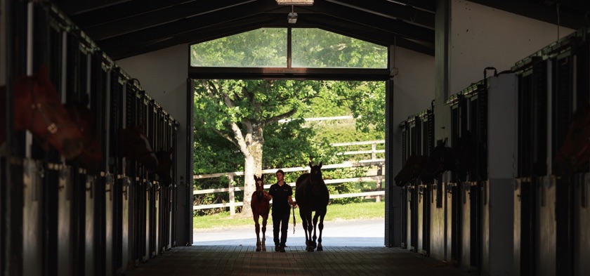 Coolmore Stud Ireland
