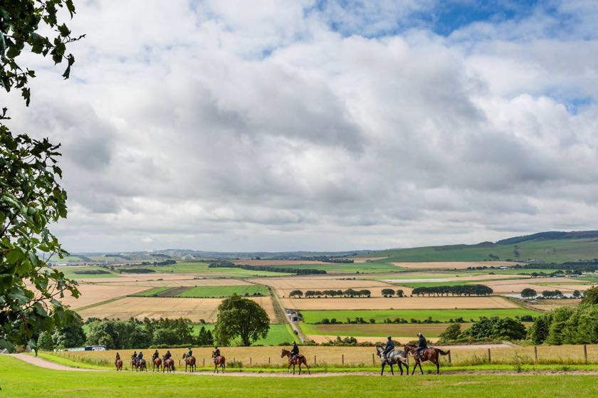 Kinneston
