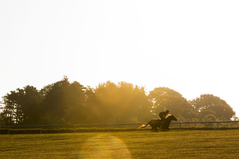 Newmarket Racecourse in the early morning light